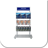 Mall Stand 3 A4, 4 A5 & 6 DL Brochure Holder with Header - SILVER