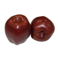 Artificial Red Apple