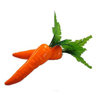 Artificial Carrot*