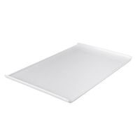 Melamine Rectangular Platter with Lip -- 530 X 320MM