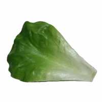 Artificial Lettuce Leaf