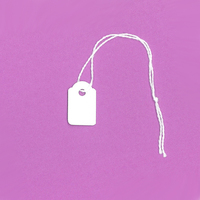 Strung Tags 13 x 20MM - Box of 1000