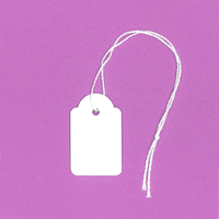 Strung Tags 22 x 35MM - Box of 500